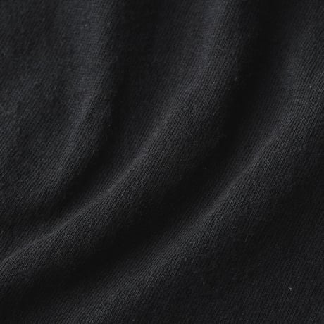Ice Cube / Predator Logo Photo S/S Tee