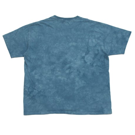 The Beatles / 00's Vintage, Yellow Submarine Tie-Dye S/S Tee