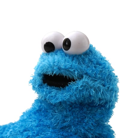 Sesame Street / Cookie Monster Plush Toy