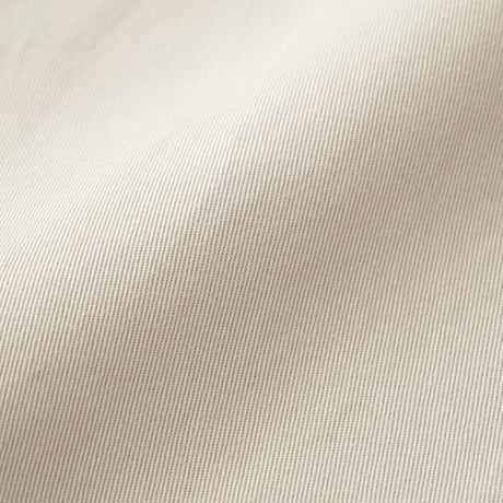 THE UNION / Wakizashi Chino