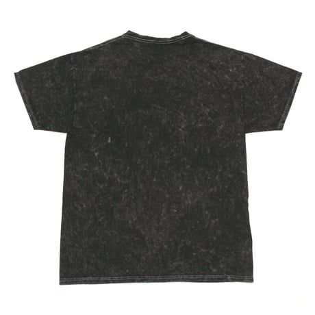 Aaliyah / Princess Of R&B S/S Tee