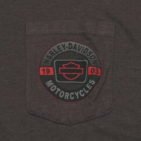 Harley Davidson / ©2010 San Diego Pocket S/S Tee