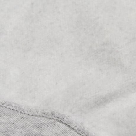 Champion / Vintage, Reverse Weave Crewneck Sweatshirt "New Hampton School"