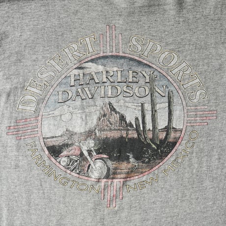 Harley Davidson / Vintage, Desert Sports Pocket L/S Tee