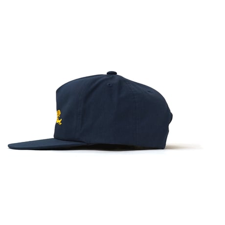 TEERECO / Jaguar 5-Panel Snapback Hat