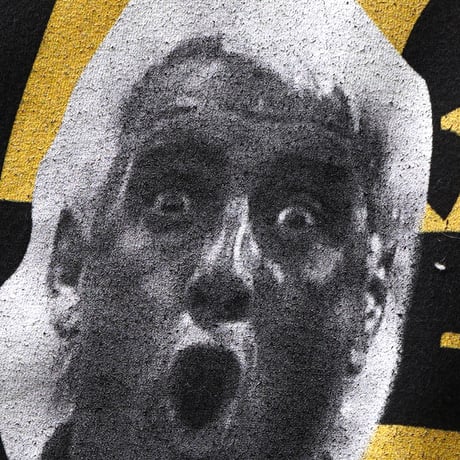 Wu-Tang Clan / Ric Flair "WU" Logo S/S Tee