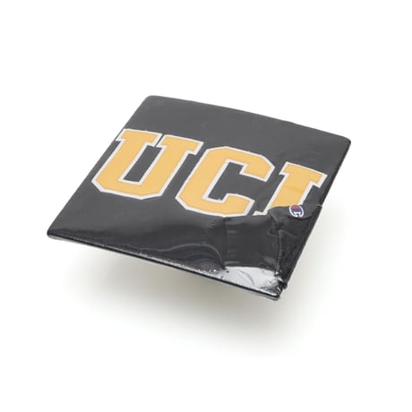 Champion / Crewneck Sweatshirt "UCI University"