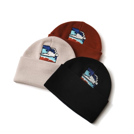 Teereco / Windfoil Logo Beanie