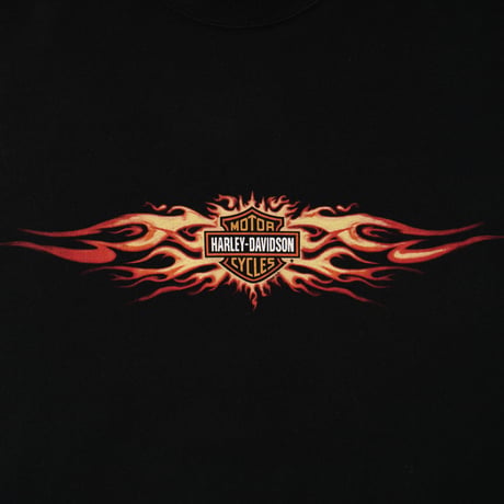 Harley Davidson / Vintage, ©2000 New York, L/S Tee