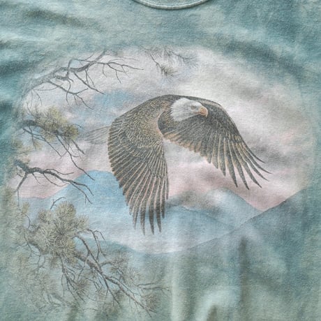 The Mountain / Tie-Dye S/S Tee "Bald eagle"