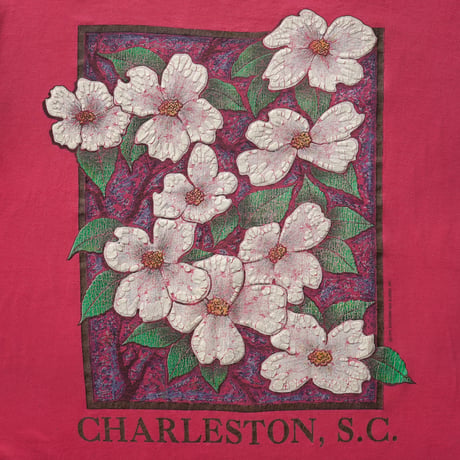 South Carolina / Vintage, Charleston  Floral S/S Tee