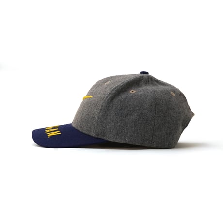 NIKE / Vintage, Swoosh 6-Panel Snapback Hat "Team Sports, Michigan Wolverines"