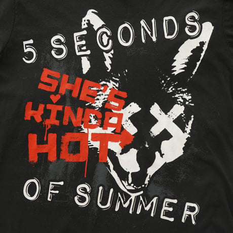 5 Seconds of Summer / She's Kinda Hot S/S Tee