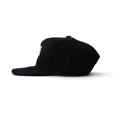 Nike / Vintage Bootleg, Circle Logo Snapback 6-Panel Hat