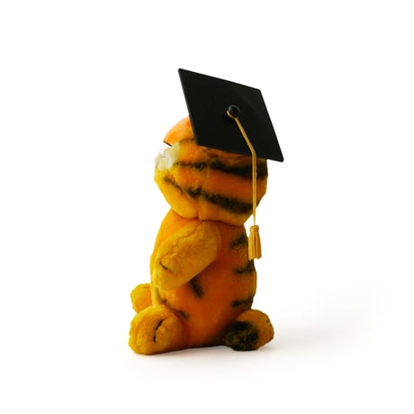 Garfield / Vintage, Plush Toy "Graduation, Diploma"
