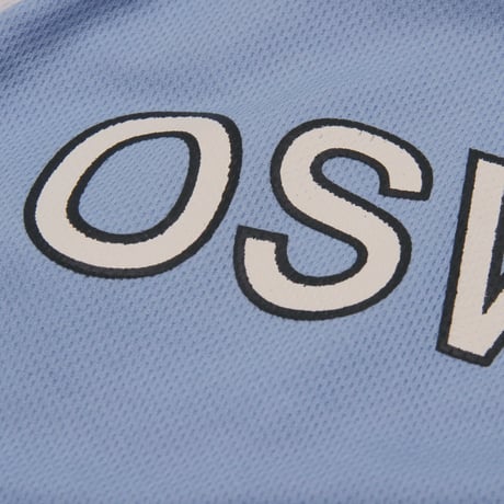 Club Deportivo Guadalajara / Soccer Jersey #1 Oswaldo Alanís Pantoja