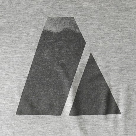 U.S Army / Vintage, APFU Training S/S Tee