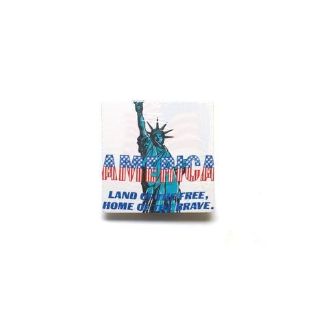 United States of America / Vintage, Souvenir S/S Tee