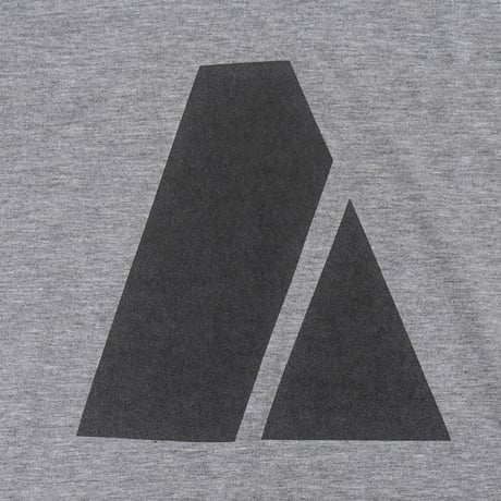U.S. Army / APFU Training L/S Tee