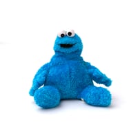 Sesame Street / Cookie Monster Plush Toy