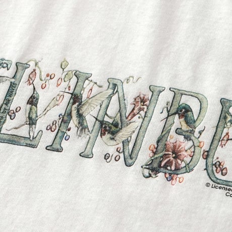 Gatlinburg, Tennessee / Vintage, Souvenir S/S Tee