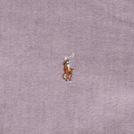 Ralph Lauren / Oxford B.D. L/S Shirt