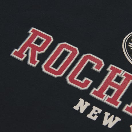 Rochester / Souvenir Crewneck Sweatshirt
