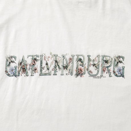 Gatlinburg, Tennessee / Vintage, Souvenir S/S Tee