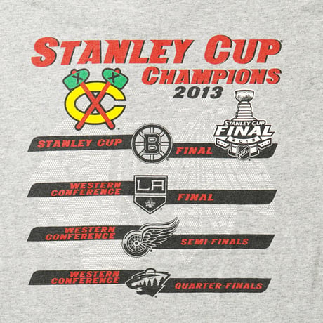 Chicago Blackhawks / Stanley Cup 2013 Champions S/S Tee