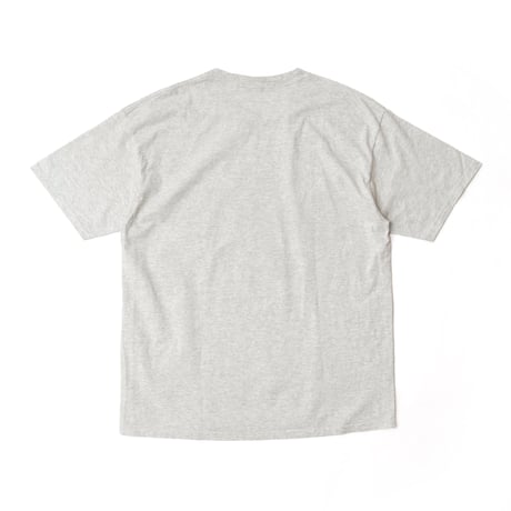 Greenbay Packers / Vintage, Super Bowl XXXI Champion S/S Tee (manufactured by Nutmeg Mills)