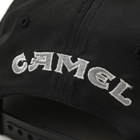 Camel / Vintage, Silhouette Logo 6-Panel Hat