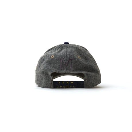 NIKE / Vintage, Swoosh 6-Panel Snapback Hat "Team Sports, Michigan Wolverines"