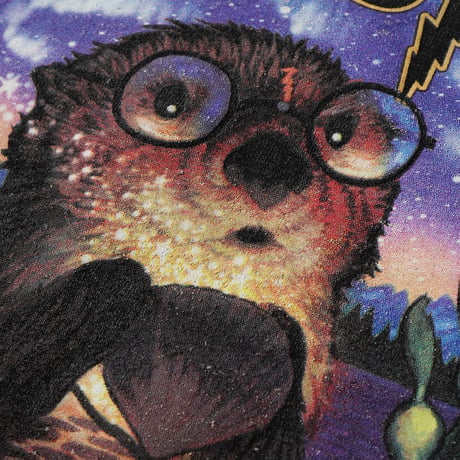 AK Serigraphics / Vintage, Crewneck Sweatshirt "Hairy Otter"
