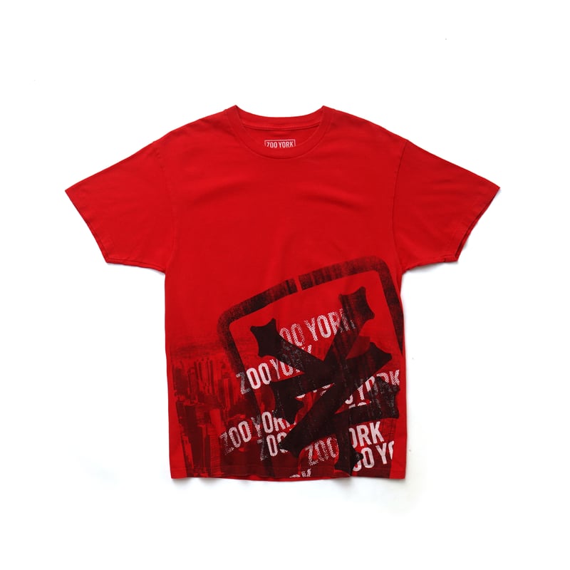 Zoo York / Manhattan Graphic S/S Tee | ティーレコ