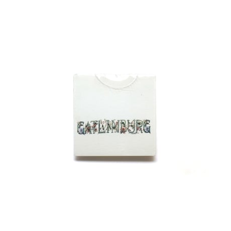 Gatlinburg, Tennessee / Vintage, Souvenir S/S Tee