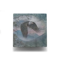 The Mountain / Tie-Dye S/S Tee "Bald eagle"