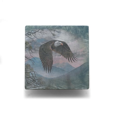 The Mountain / Tie-Dye S/S Tee "Bald eagle"