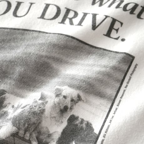 spcaLA / Vintage, Photo S/S Tee