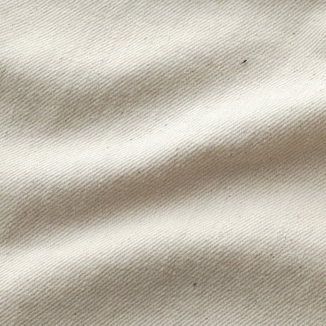 THE UNION / The Painter Pants