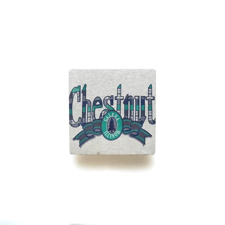 Chestnut Mountain Resort, IL / Vintage, S/S Tee