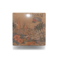 Hawaii, HI / Vintage, Souvenir S/S Tee "The Big Island"