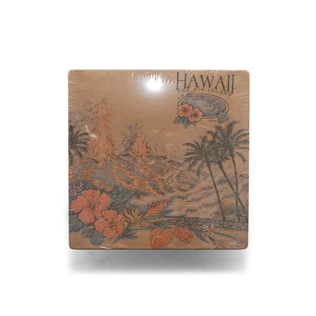 Hawaii, HI / Vintage, Souvenir S/S Tee "The Big Island"