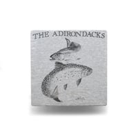 the Adirondacks, NY / Vintage, Souvenir S/S Tee "Brook Trout"