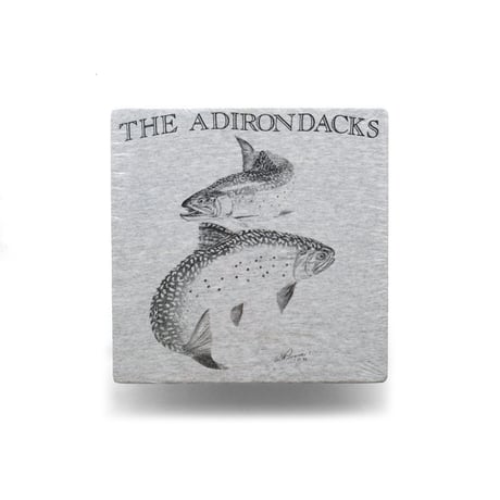 the Adirondacks, NY / Vintage, Souvenir S/S Tee "Brook Trout"