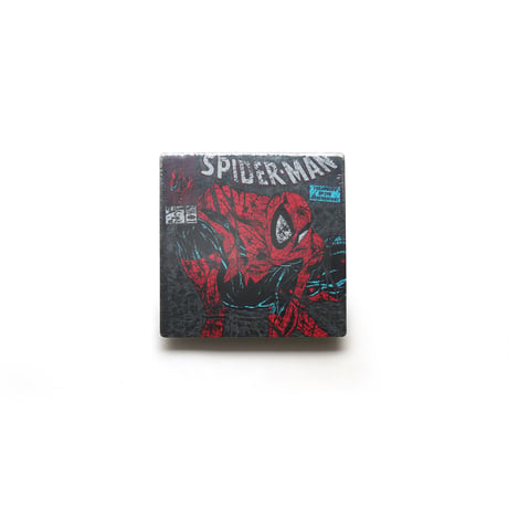 Spider-Man / Comic S/S Tee