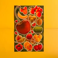 フルーツ シール 大 ⑥ FRUIT STICKER