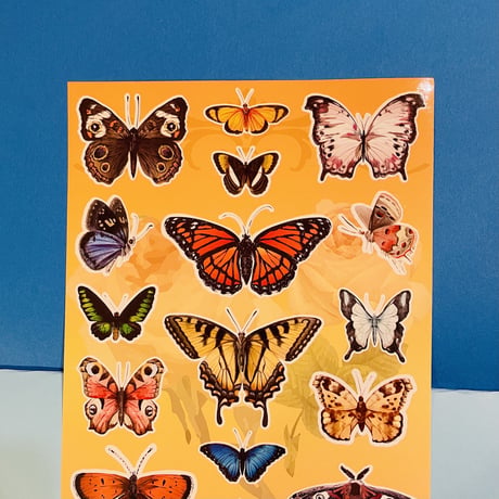 蝶々③ シール 大 BUTTERFLY STICKER