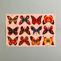 蝶々⑧ シール 大 BUTTERFLY STICKER