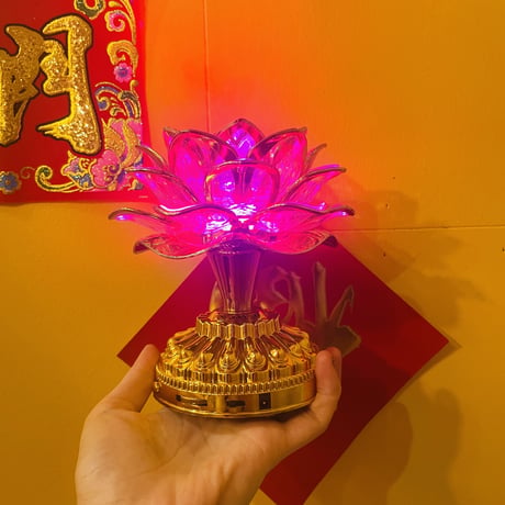 ブッダマシーン 蓮の花