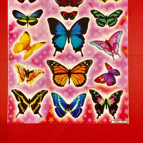 蝶々 シール 大 BUTTERFLY STICKER